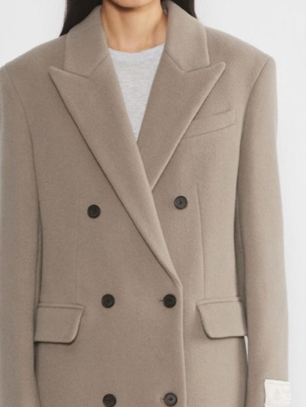 Aritzia Babaton Publication Wool Cashmere Double-Breasted Coat - Taupe (2XS) - Picture 2 of 12